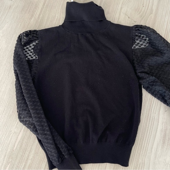 Zara Dotted Sheer Sleeve Turtleneck - Picture 2 of 9